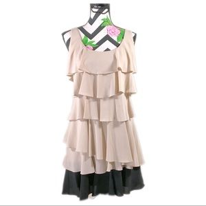 Calvin Klein NWT Beige/Black Size 12 Dress